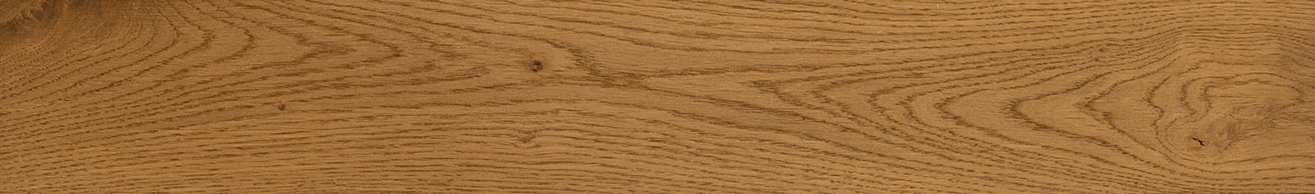 Quercia antica